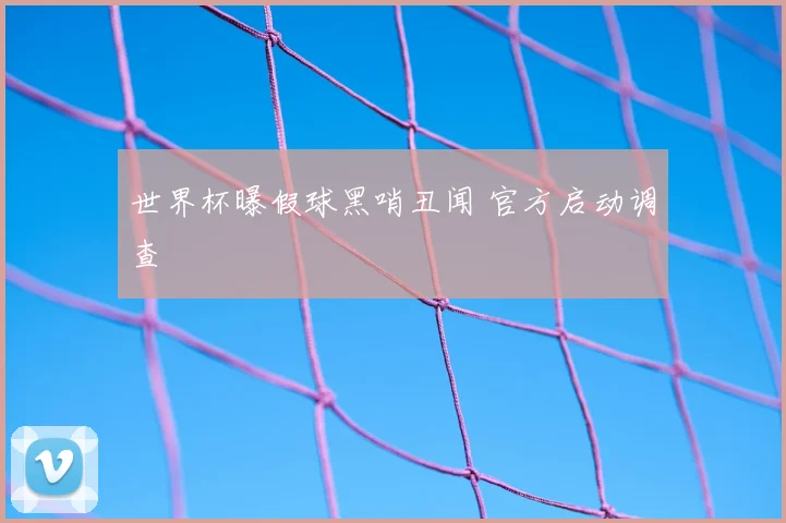 世界杯曝假球黑哨丑闻 官方启动调查