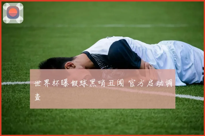 世界杯曝假球黑哨丑闻 官方启动调查