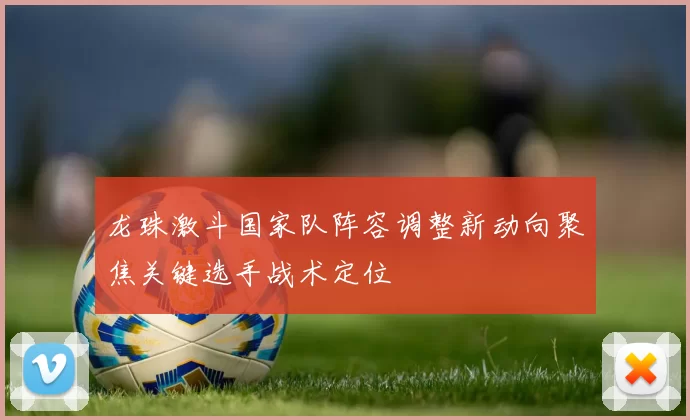 龙珠激斗国家队阵容调整新动向聚焦关键选手战术定位