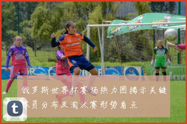 俄罗斯世界杯赛场热力图揭示关键球员分布及淘汰赛形势看点