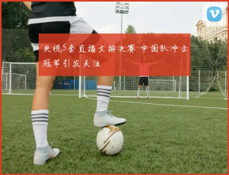 央视5套直播女排决赛 中国队冲击冠军引发关注