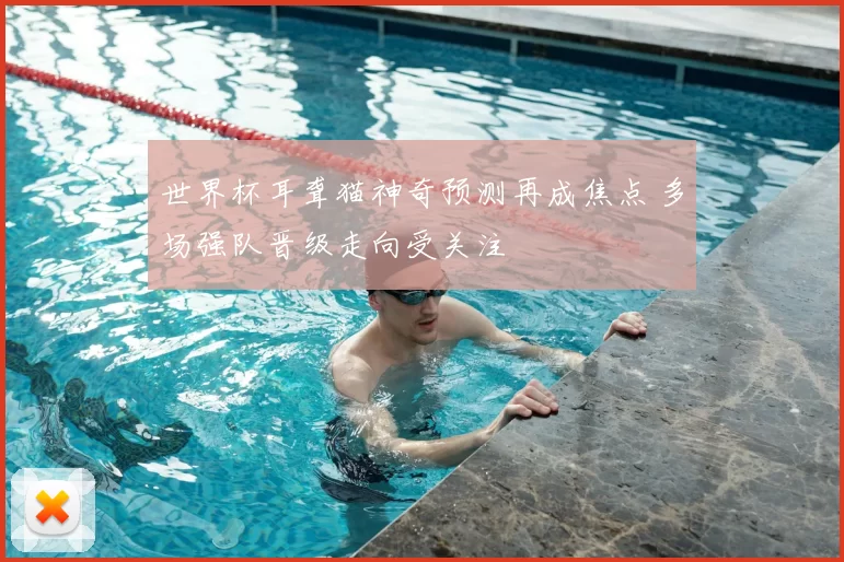 世界杯耳聋猫神奇预测再成焦点 多场强队晋级走向受关注