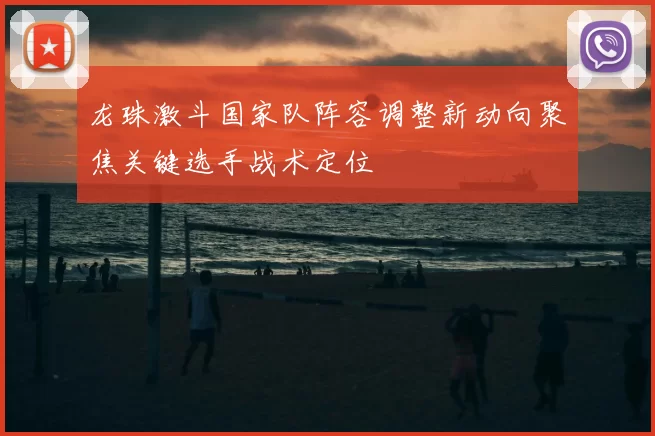龙珠激斗国家队阵容调整新动向聚焦关键选手战术定位