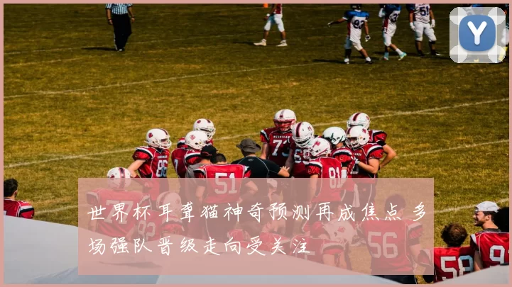 世界杯耳聋猫神奇预测再成焦点 多场强队晋级走向受关注