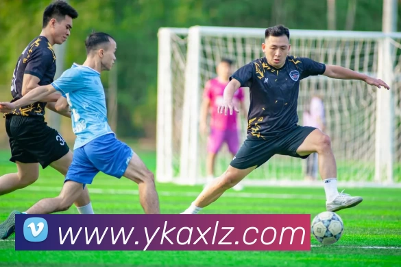 PG·中国(官方网站) - 官方定制电子平台平台生态图